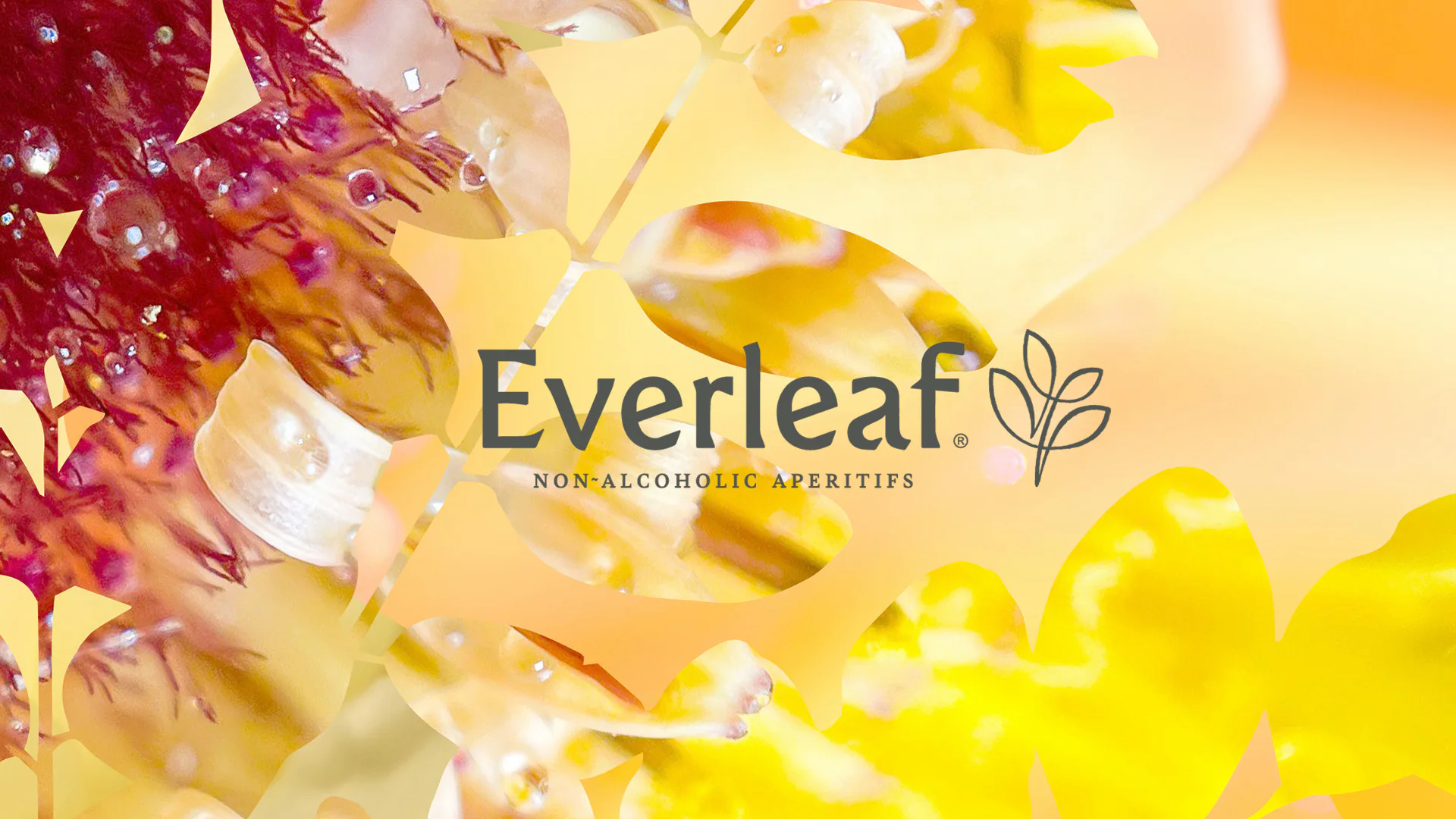 Everleaf's established visual identity evolving through rich botanical imagery and colour